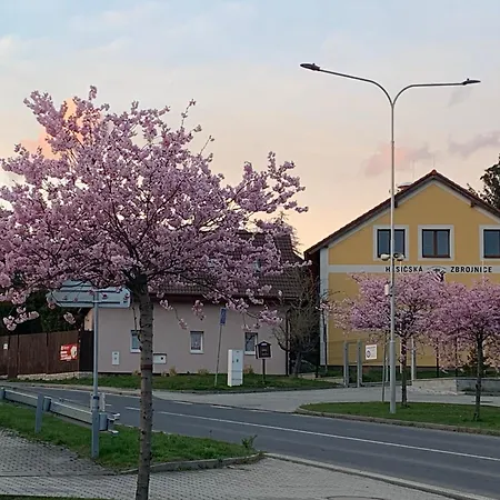 Lägenhet Na Vrsku Plzeň