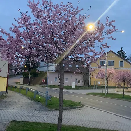 Na Vrsku Пльзень