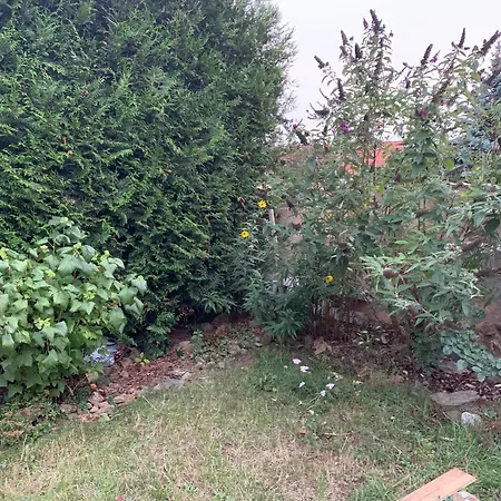 Apartmán Na Vršku