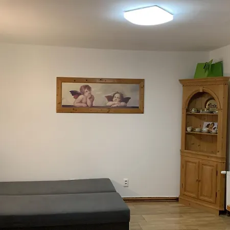 Na Vrsku Апартаменты Пльзень