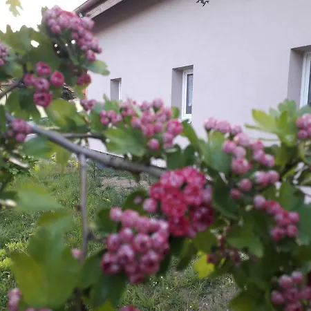 Na Vrsku Lägenhet Plzeň