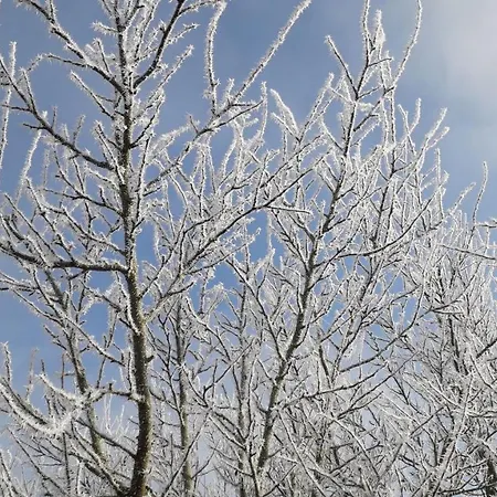 Na Vrsku Appartement Plzeň