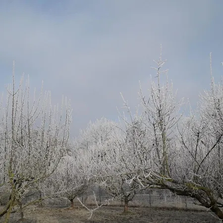 Na Vrsku Апартаменты