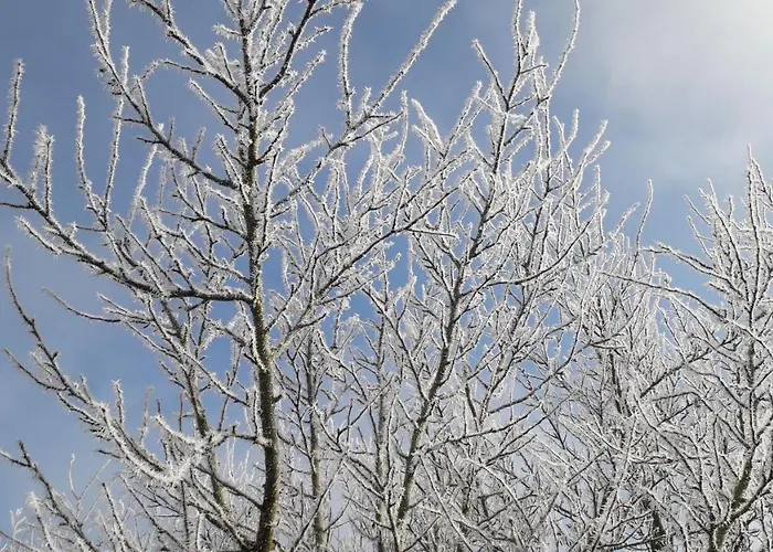 Na Vrsku Апартаменты Пльзень