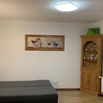 Na Vrsku شقة بلزن