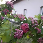 Na Vrsku شقة بلزن