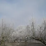Na Vrsku شقة