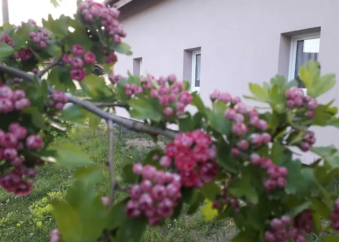 Na Vrsku Apartment Pilsen